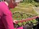 Début de la saison du jardinage en unité protégée Résidence Les Jonquilles Marseille